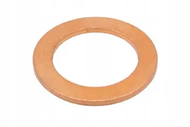 f954200060040-podkladka-uszczelniajaca-16-4-x-23-9-x-1-47-mm