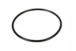 x548936000000-pierscien-oring-57-x-25