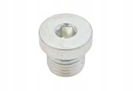 zy00086638-korek-imbusowy-gz-m14-x-15-z-uszczelka