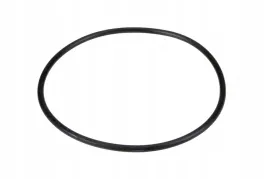 7700703884-oring-walka-podnosnika-7269-x-262-mm