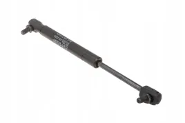 ca381926-silownik-gazowy-l245-200n