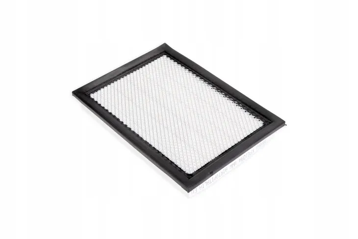 cf00250-filtr-kabiny-panelowy