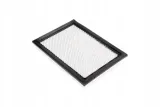 cf00250-filtr-kabiny-panelowy