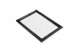 cf00250-filtr-kabiny-panelowy