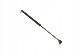 va200487-silownik-gazowy