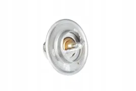 v836015156-termostat-79-st-c