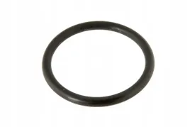 x590980000000-pierscien-oring-klimatyzacji-17-x-178mm