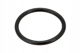 ts09580010011-pierscien-oring-29-6-x-2-9