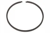 21499254010-pierscien
