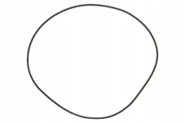 215302940-pierscien-uszczelniajacy-o-ring