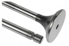 vpa1029-zawor-wydechowy