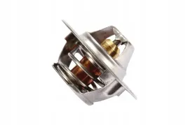 2485668gp-termostat