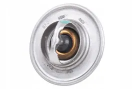 83913835n-termostat-75-c