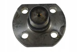 ci129206-sworzen-zwrotnicy-carraro