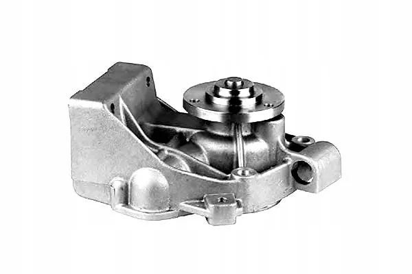 pompa-wody-magneti-marelli-352316170909-waga-produktu-3-31-kg