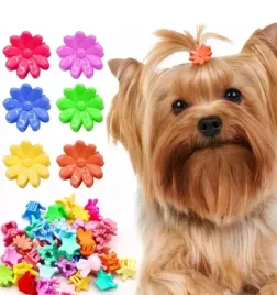 spinka-dla-psa-klamra-10-sztuk-dla-yorka-shih-tzu-york