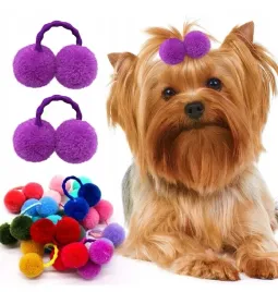 gumki-dla-psa-kitka-pomponik-5-sztuk-yorka-shih-tzu-maltanczyk-spinka