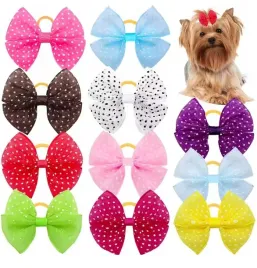 kokardka-dla-psa-yorka-shih-tzu-maltanczyk-kokardki-w-biale-kropki-10-sztuk