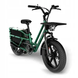 rower-elektryczny-cargo-fiido-t2-2025-20-fatbike-green