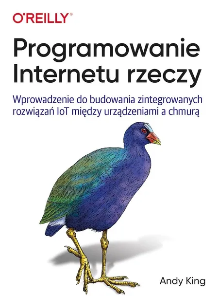 programowanie-internetu-rzeczy-jezyk-polski