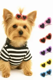 spinka-dla-psa-yorka-york-shih-tzu-okulary-5-x-mix-kolor