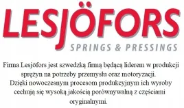 sprezyna-gaz-bmw-3-saloon-3-coupe-98-0-5-tyl