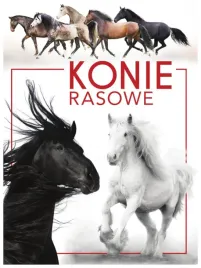 konie-rasowe-patrycja-zarawska