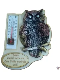 termometr-na-magnes-sowa-10-x-8-cm-nr-123