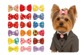 spinka-dla-psa-kokardki-dla-yorka-shih-tzu-maltanczyk-gumki-20-szt