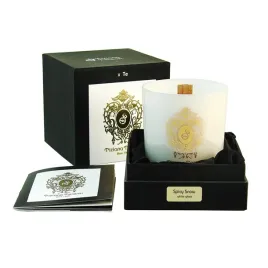tiziana-terenzi-spicy-snow-swieca-zapachowa-170g