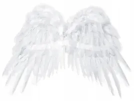 skrzydla-aniola-53x37cm