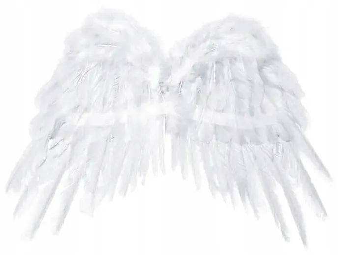 skrzydla-aniola-53x37cm