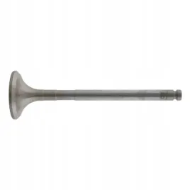 zawor-wydech-citroen-09-2004-febi