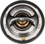 termostat-gates