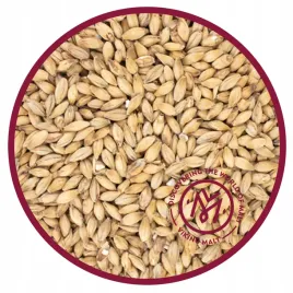 slod-pilznenski-1kg-viking-malt-piwo-domowe