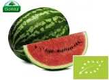 arbuz-mini-bio-import-1-kg-