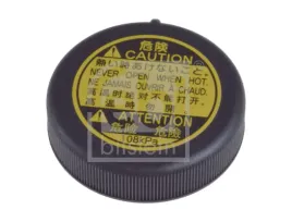 korek-chlodnicy-lexus-gs-05-