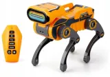 robo-express-pomaranczowy