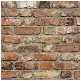 tapeta-cegla-cegielka-mur-na-flizelinie-efekt-3d