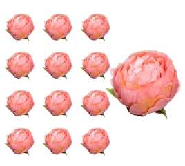 peonia-satynowa-glowka-lososiowa-x12-sztuk