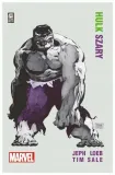 hulk-szary-jeph-loeb