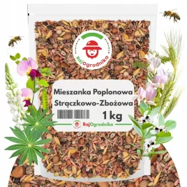 straczkowo-zbozowa-mieszanka-poplonowa-1-kg-groch-lubin-zyto-bobik-8-odmian