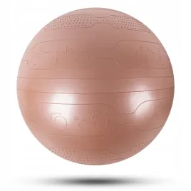 pilka-gimnastyczna-fitness-insportline-stretch-ball-65-cm-kolor-mus-mokka