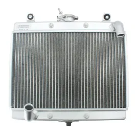 chlodnica-do-segway-snarler-at5-500-21-24-radiator-oe-a10-a400101-000-00