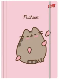 teczka-z-gumka-a4-pusheen-kot-kotek-laminowana-szkolna-majewski-pink