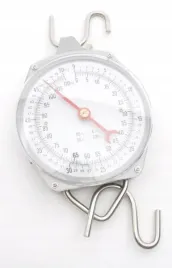 waga-zegarowa-zawieszana-50-kg-486783