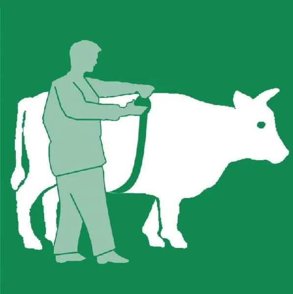 miara-zoometryczna-vv2191
