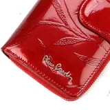 greg58189-marka-pierre-cardin