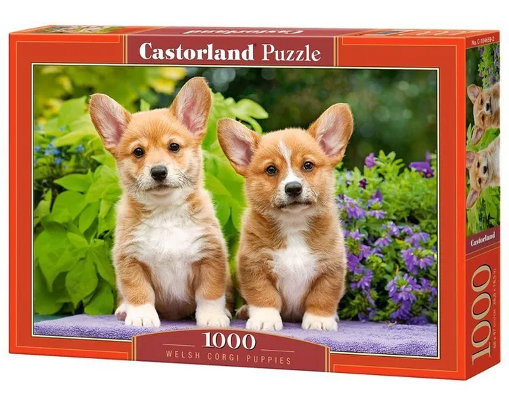 puzzle-1000-elementow-welsh-corgi-puppies