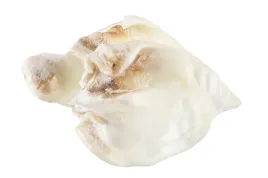 kolodziejczyk-ucho-wieprzowe-biale-10-szt-naturalne-gryzaki-dla-psa